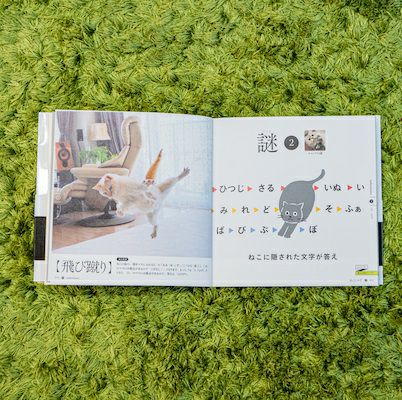 ねこ謎（ねこにゃぞ） | SCRAP GOODS SHOP